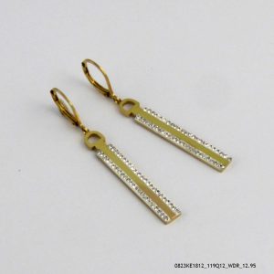 Steel Crystal Earring