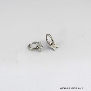 Star Dangling Hoops Earring