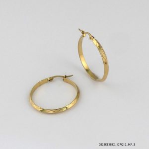 Steel Hoops Earring