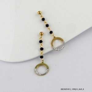 Steel Crystall Earring