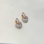 2 Colour Luxury Earring