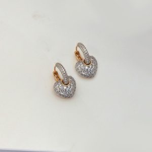 2 Colour Luxury Earring
