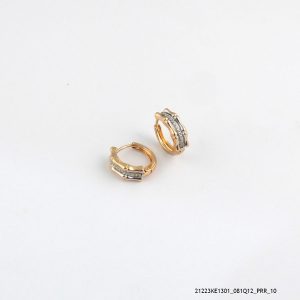 2 Colour Dress Hoops Earring
