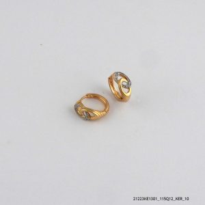 2 Colour Euro Hoops Earring
