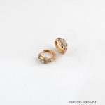 2 Colour Dress Hoops Earring