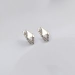 Crystal Hoop Earring