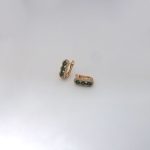 Emeral Crystal Colour Earring