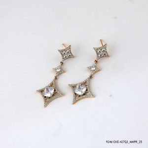 2 COLOR G/P EARRING