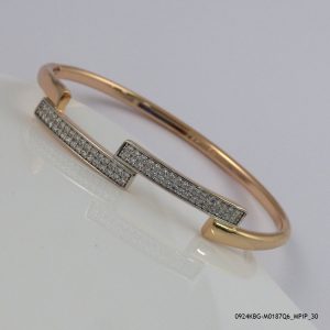 2 Color G/P Fashion Bangle