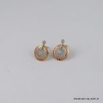 2 Color Hoops Gold Plated