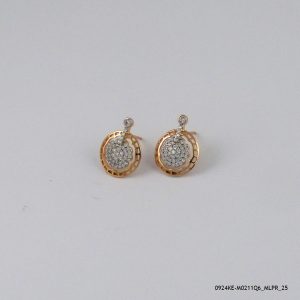 2 Color Hoops Gold Plated