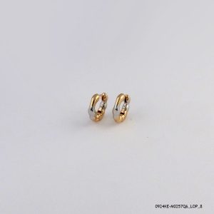 2 Color Retro Hoops Gold Plated