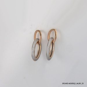 2 Color Luxury Hoops G/P