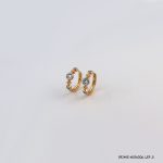 2 Color Hoops Gold Plated