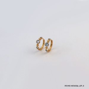2 Color Hoops Gold Plated
