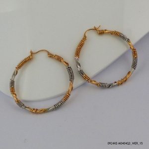 2 Color Hoops Gold Plated
