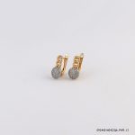 2 Color Hoops Gold Plated