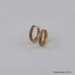 2 Color G/P Fashion Hoops