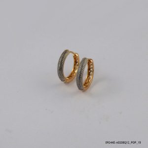 2 Color G/P Fashion Hoops