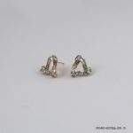 2 Color G/P Stone Hoops