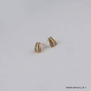 2 Color G/P Earring