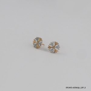2 Color G/P Fashion Earring