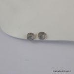 2 Color G/P Fashion Earring