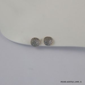 2 Color G/P Fashion Earring