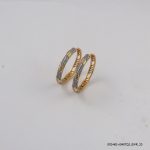 2 Color G/P Fashion Hoops