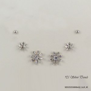 Multi Cosmic Silver Earring