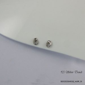 Crystal Silver Earring