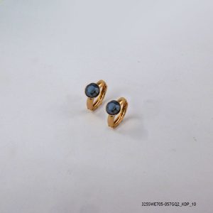 18KGP STAR SHINE CRYSTAL HOOPS