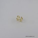 14KGP Zircon Hoops