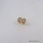2Color 18KGP Zircon Hoops