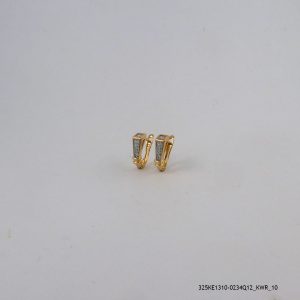 2Color 18KGP Zircon Hoops