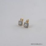 2Color 18KGP U Zircon Hoops