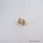 2Color 18KGP Casual Hoops