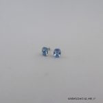 SYN MONTANA CRY SILVER EARRING